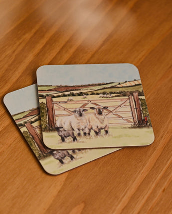 Coaster - Hampshire Down Sheep