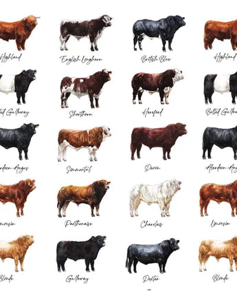 Beef - Greeting Card