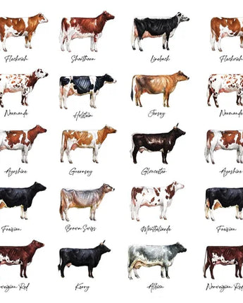 Dairy - Greeting Card