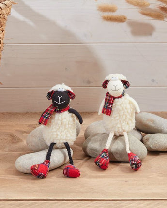 Sheep with tartan scarf