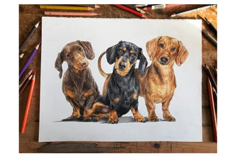 Sausages - Greeting Card