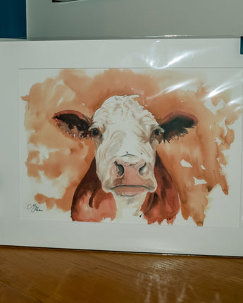 Hereford Cow Print