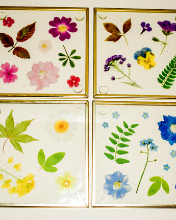 Pressed flowers glass coasters