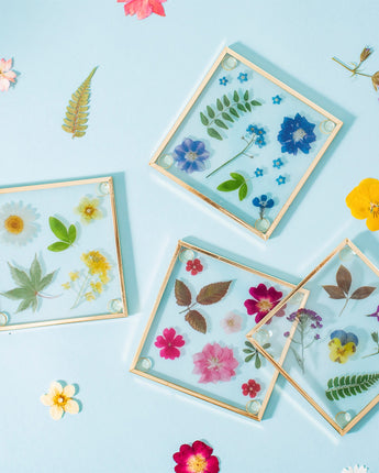 Pressed flowers glass coasters